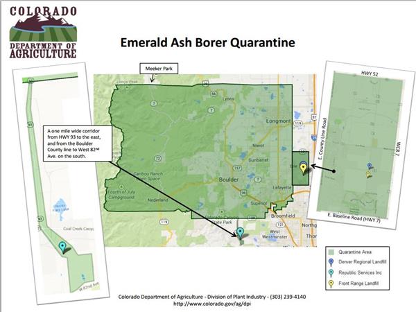 boulder county emerald ash borer quarantine